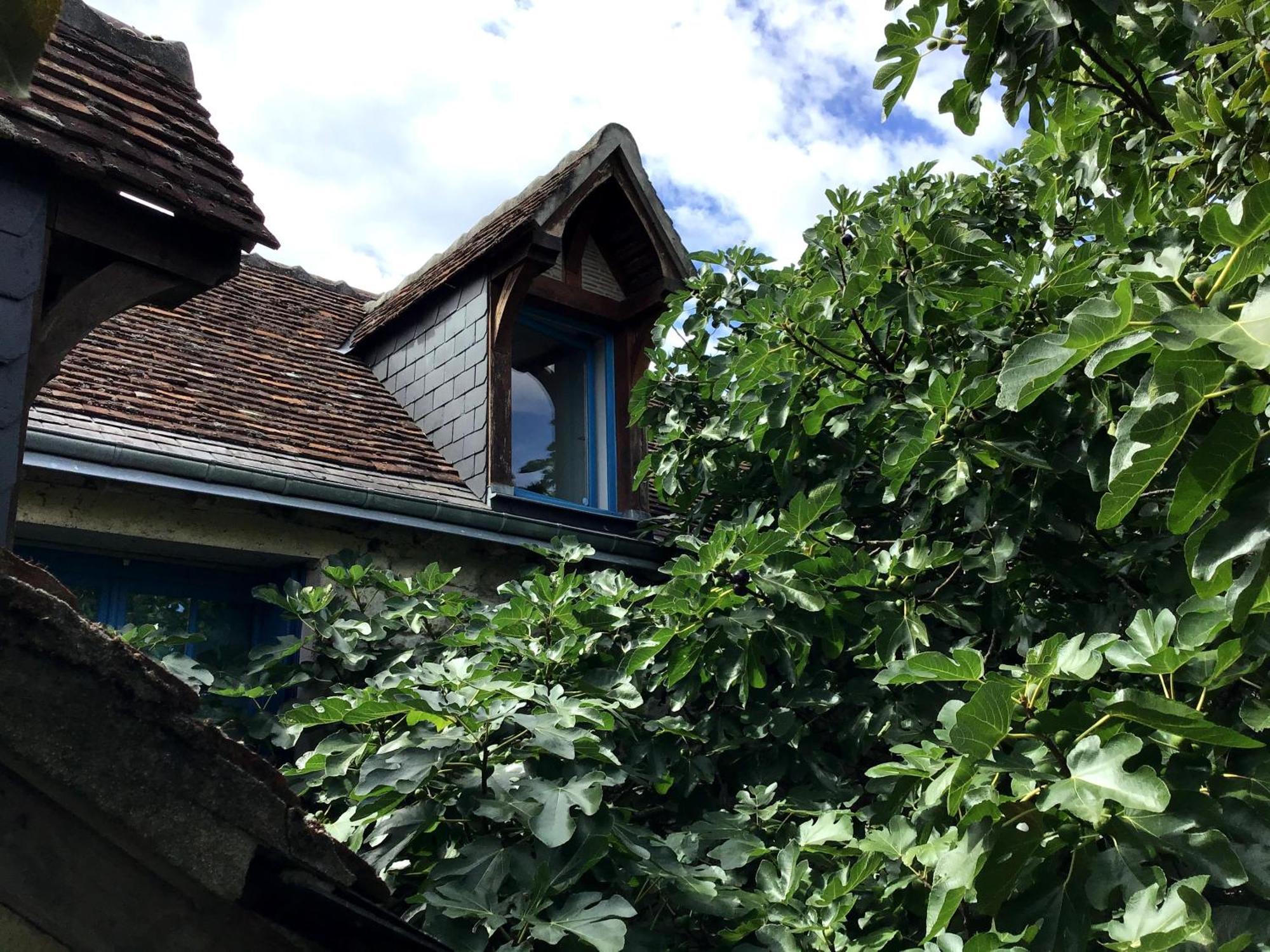 فيلا La Maison Bleue De Husseau Ancienne Ferme Semi-Troglodytique 18E Siecle مونتلويس سور لوار المظهر الخارجي الصورة
